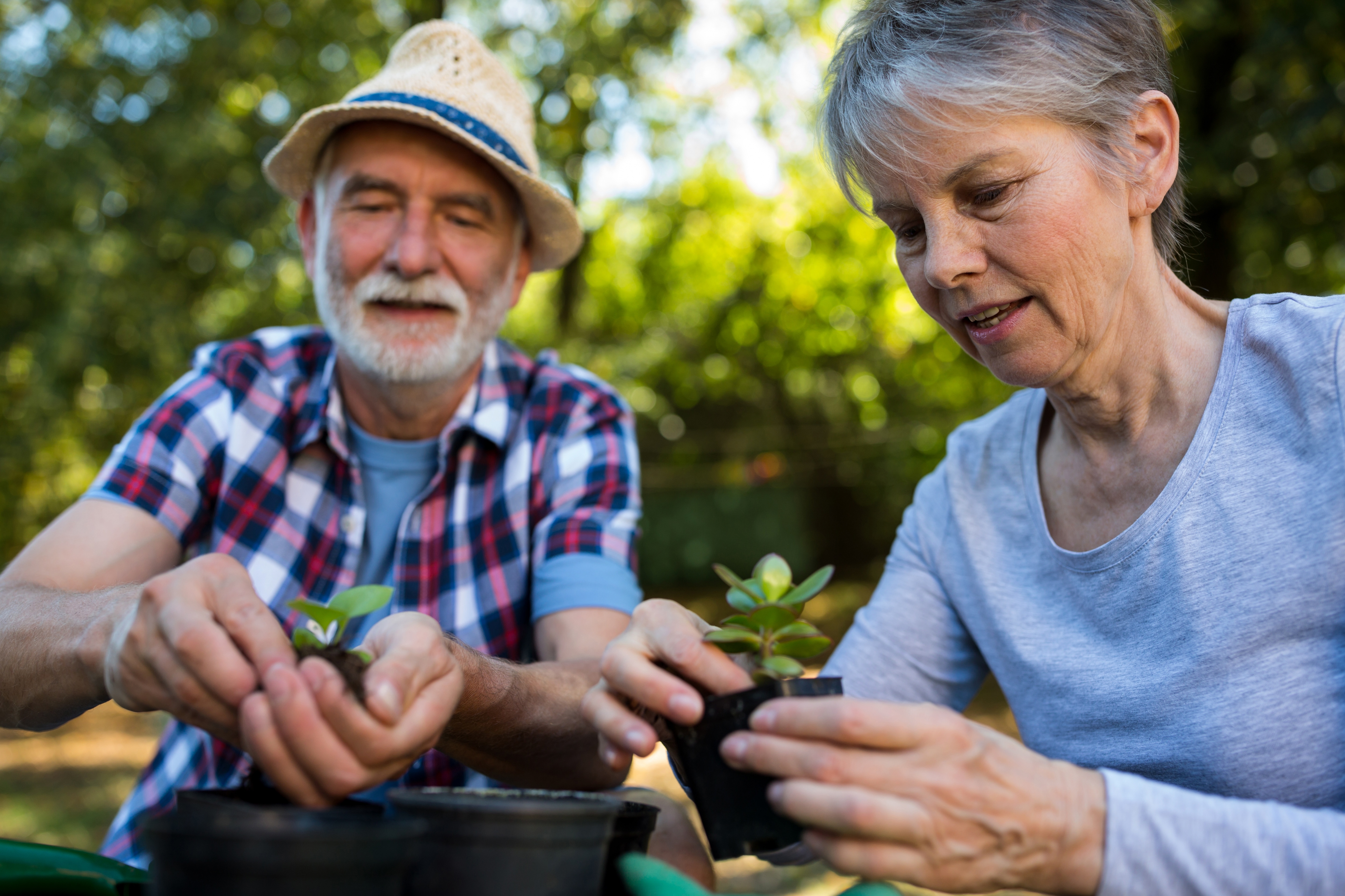 Senior couple gardening in the garden